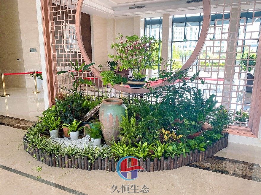 宁波江北企业大厅组合花卉绿植摆放