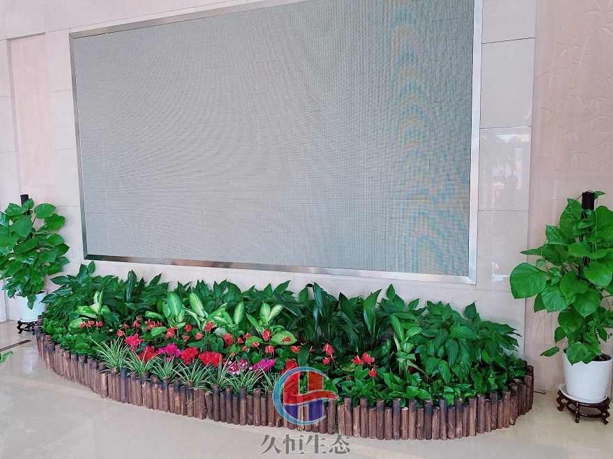 宁波江北企业大厅显示屏组合花卉绿植摆放