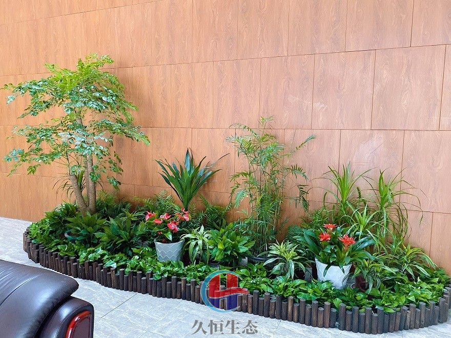 宁波江北大厅多个花卉品种造景3